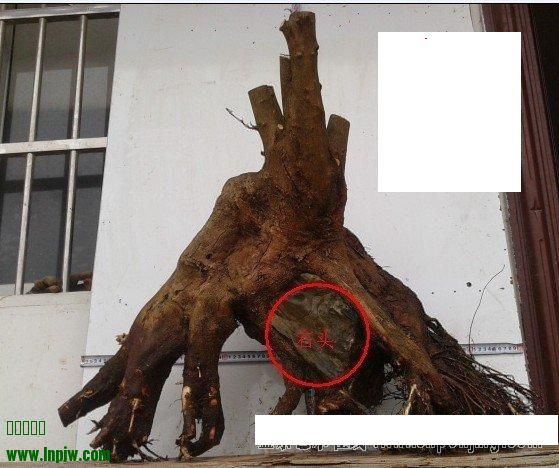 ޱ5.jpg