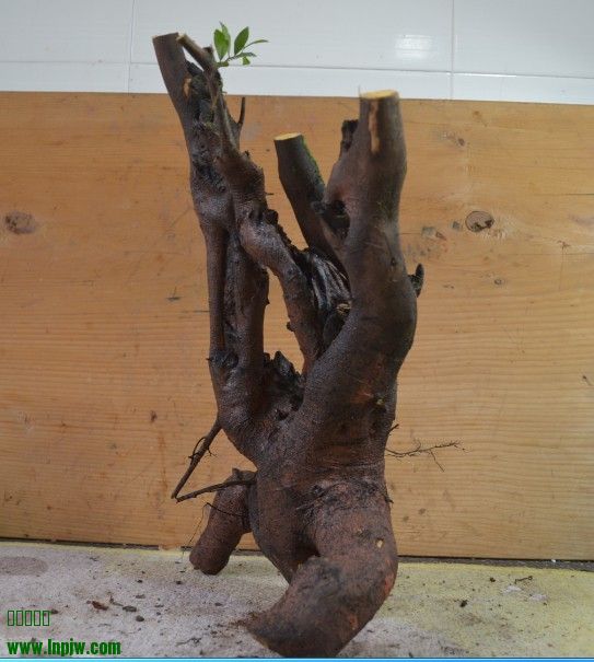 QQͼƬ20131223160259.jpg