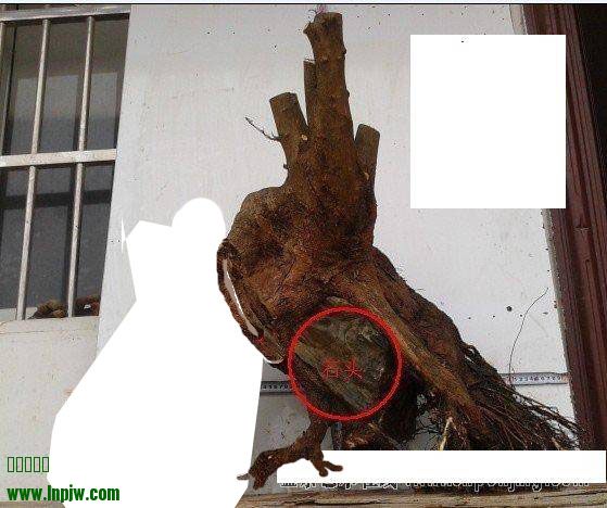 132702vb92d3badlx093td.jpg.thumb.jpg