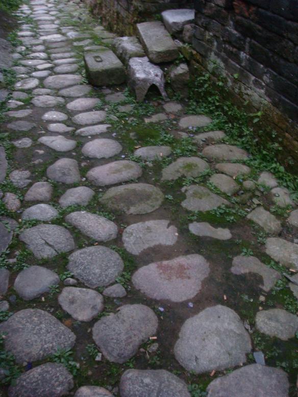 DSC06111.JPG