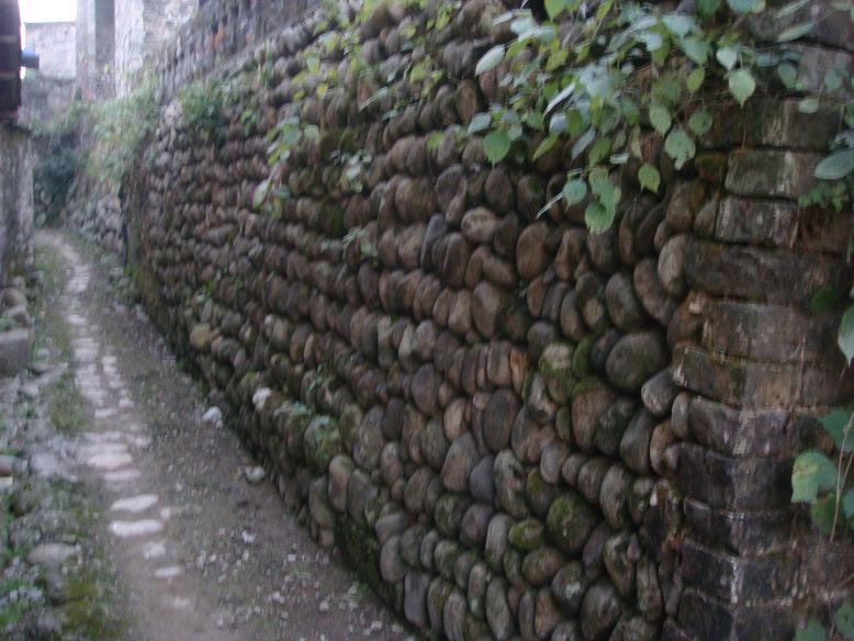 DSC06113.JPG