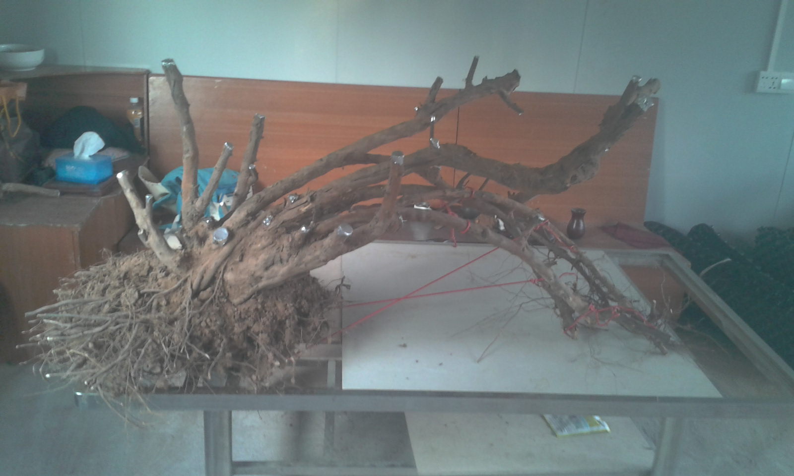 2013-11-30 16.48.24.jpg