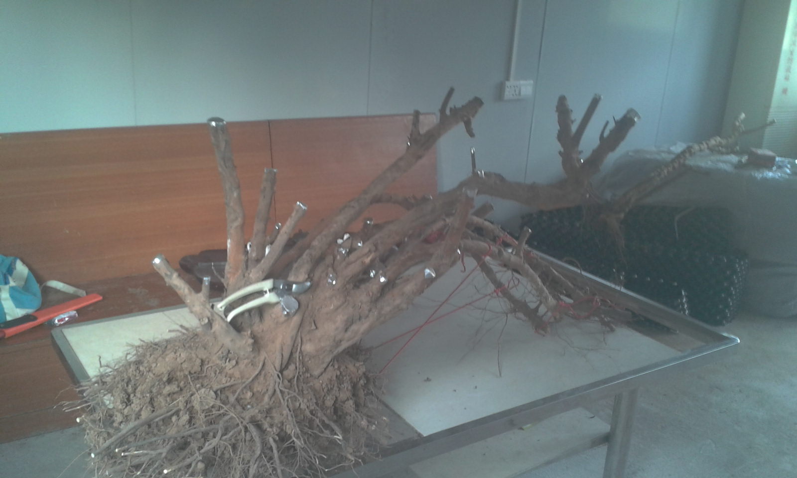 2013-11-30 16.49.40.jpg