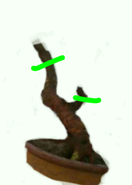 绘画专?_1387976648493.png