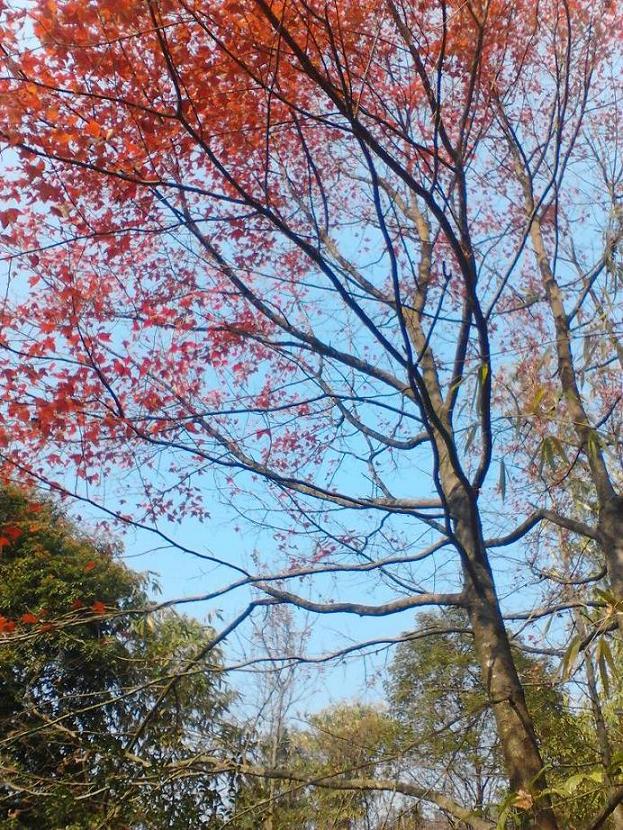IMG_20131224_105813.jpg