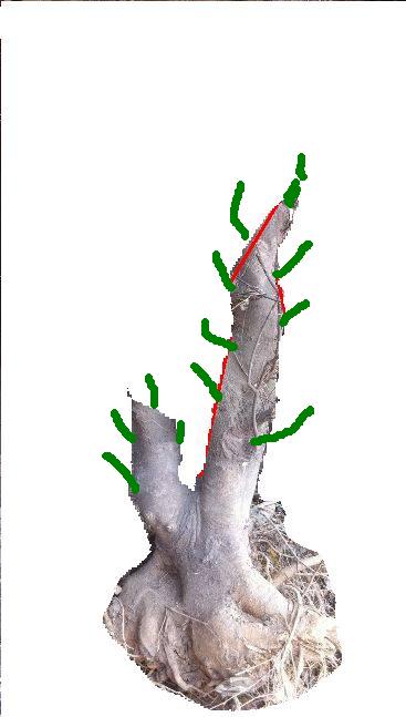 11.JPG