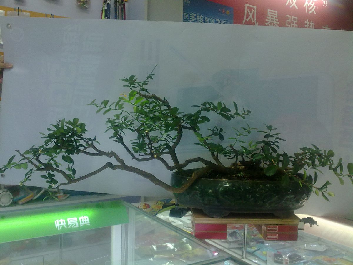 20130829030_.jpg