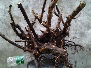 20131207_155154.jpg