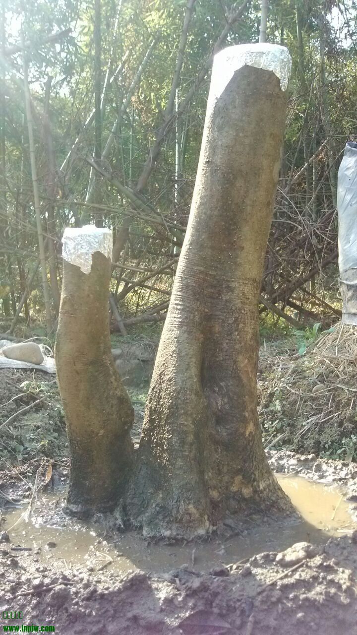QQͼƬ20131227150835.jpg