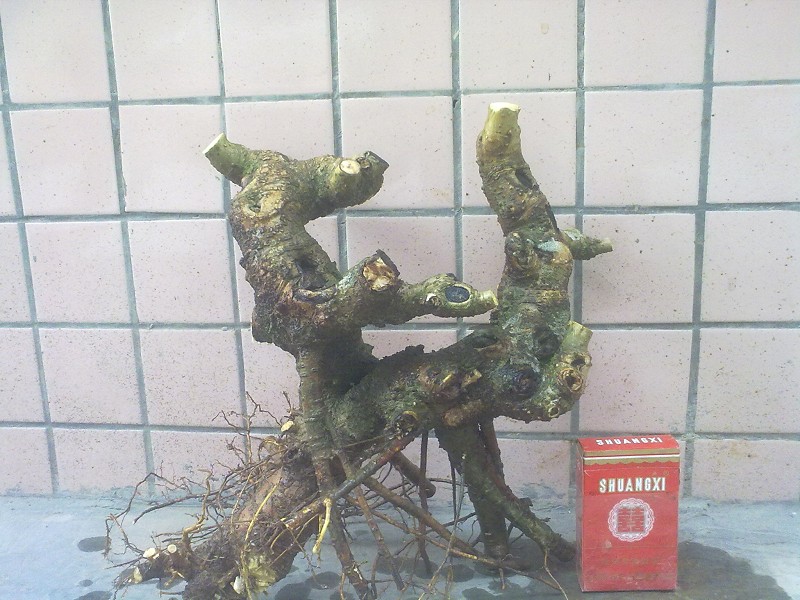 Ƭ4340.jpg