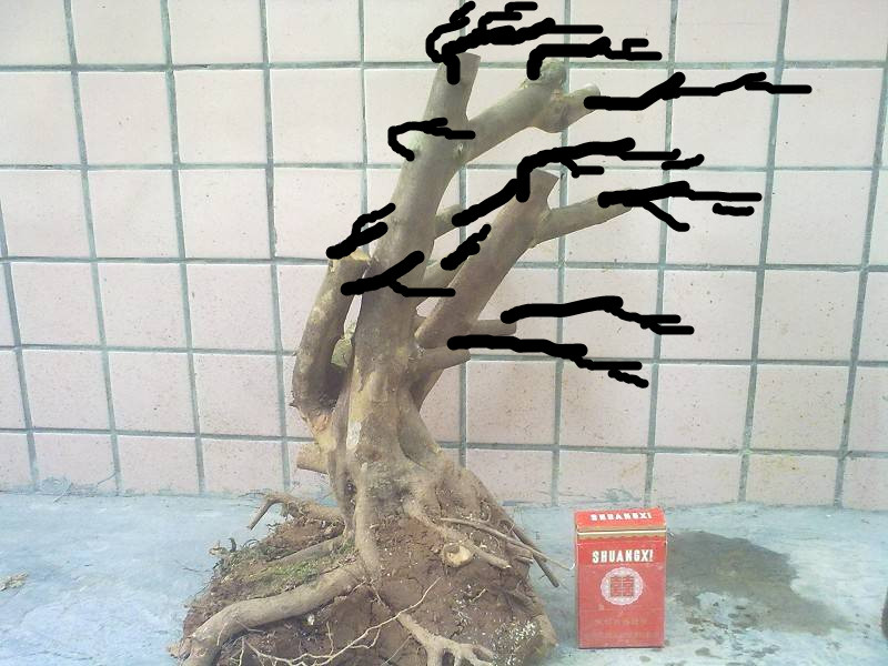 183756kj9nhcnlbh0ybjc0.jpg.thumb_.jpg