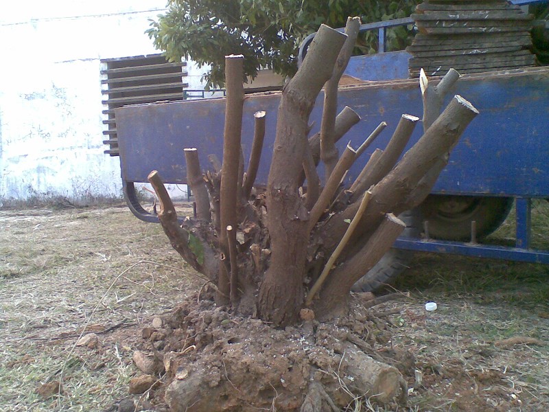 20131227(012)ͼ.jpg