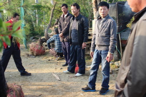 DPP_00028.JPG