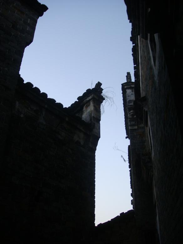 DSC06117.JPG