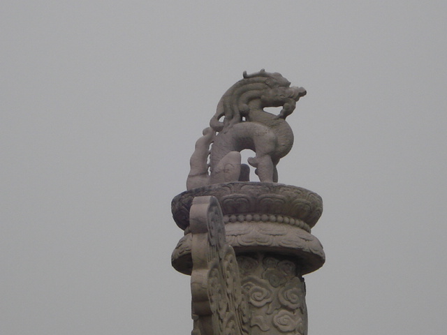 DSC09101.JPG