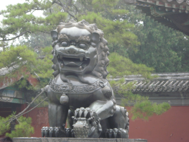 DSC09398.JPG