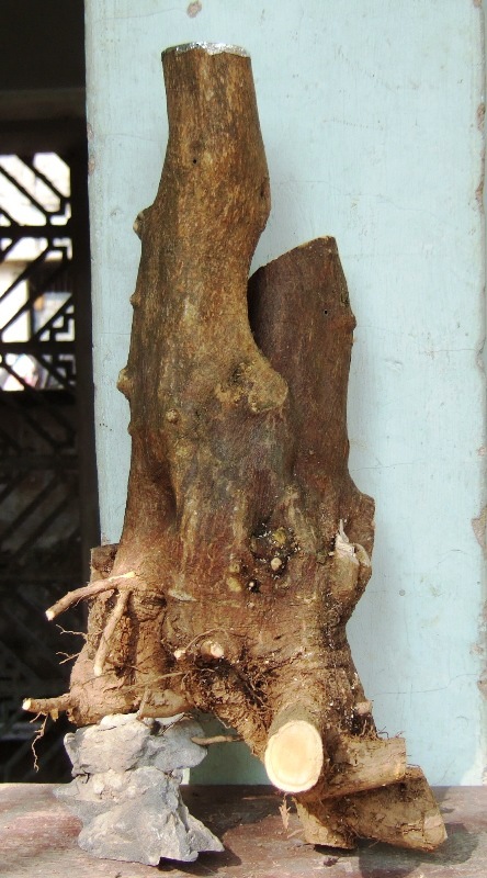 DSCF4638.JPG