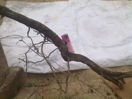 20131228107.jpg