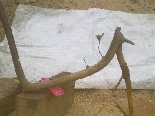20131228109.jpg
