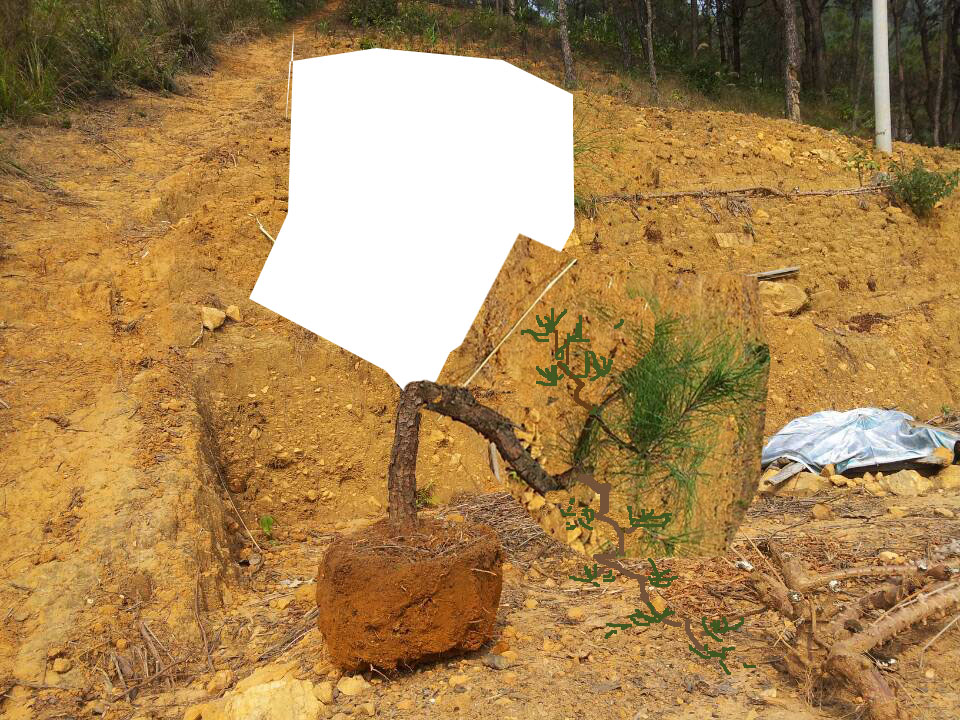 002607kgeuxm5jjhsfhhzf.jpg.thumb.jpg