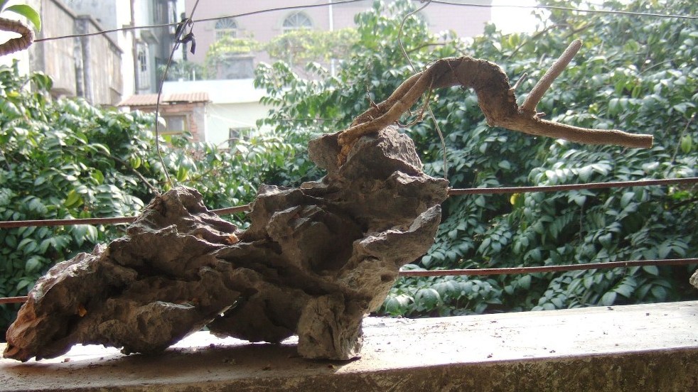DSCF4674.JPG