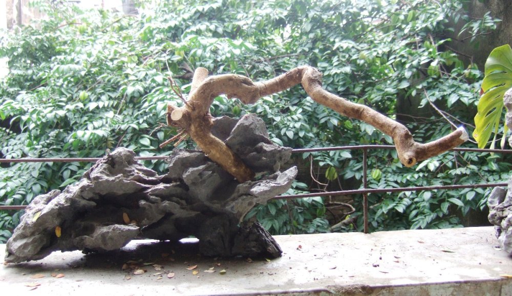 DSCF4601.JPG