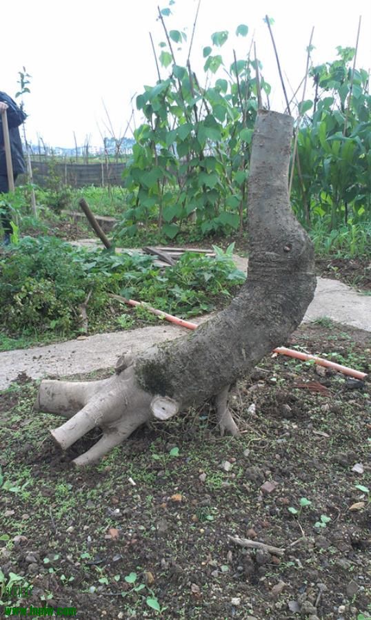IMAG0119_.jpg