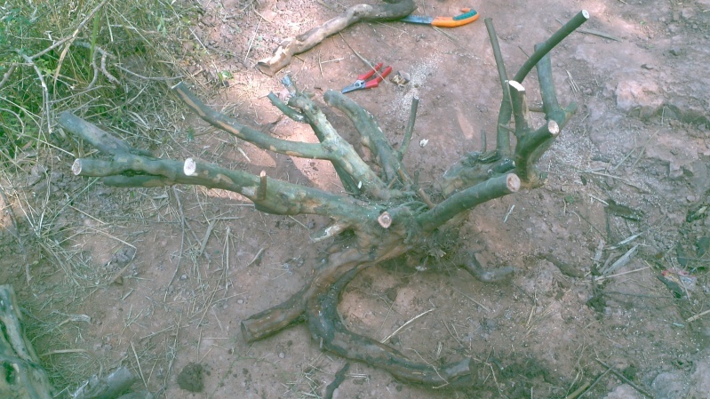 2013-12-29_14-29-32_445_conew2.jpg