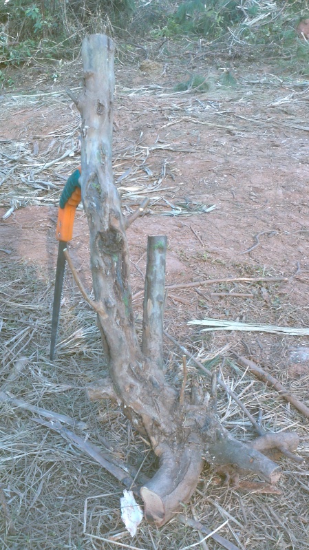 2013-12-28_16-34-03_664_conew1.jpg