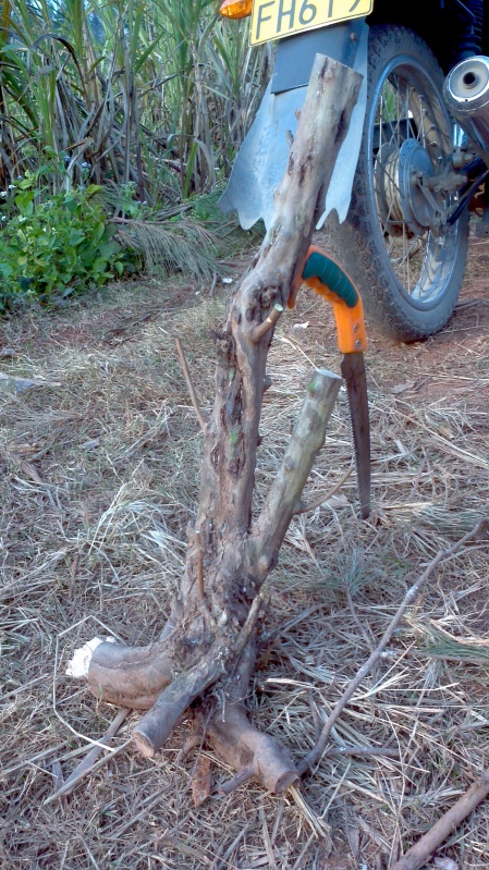 2013-12-28_16-34-18_524_conew1.jpg