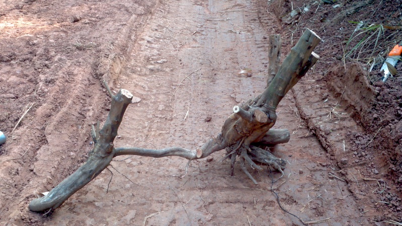 2013-12-29_13-03-15_601_conew1.jpg