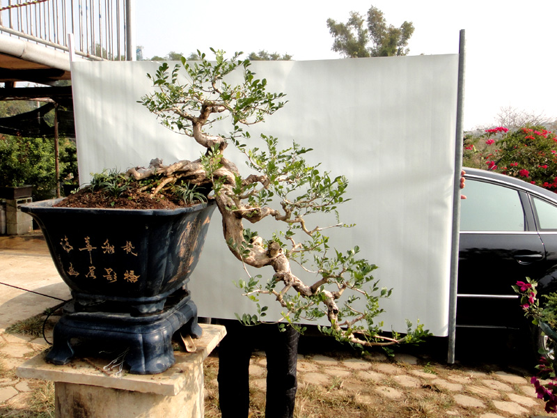 2013.12.20qq.jpg