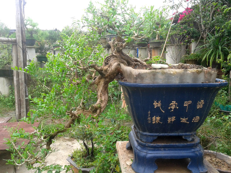 20131019_092547.jpg