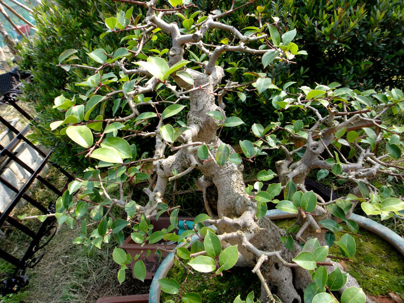 DSC07226.jpg