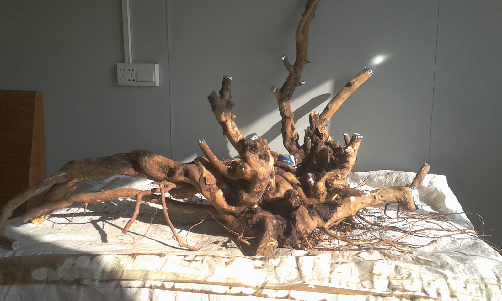2013-12-29 09.51.17.jpg