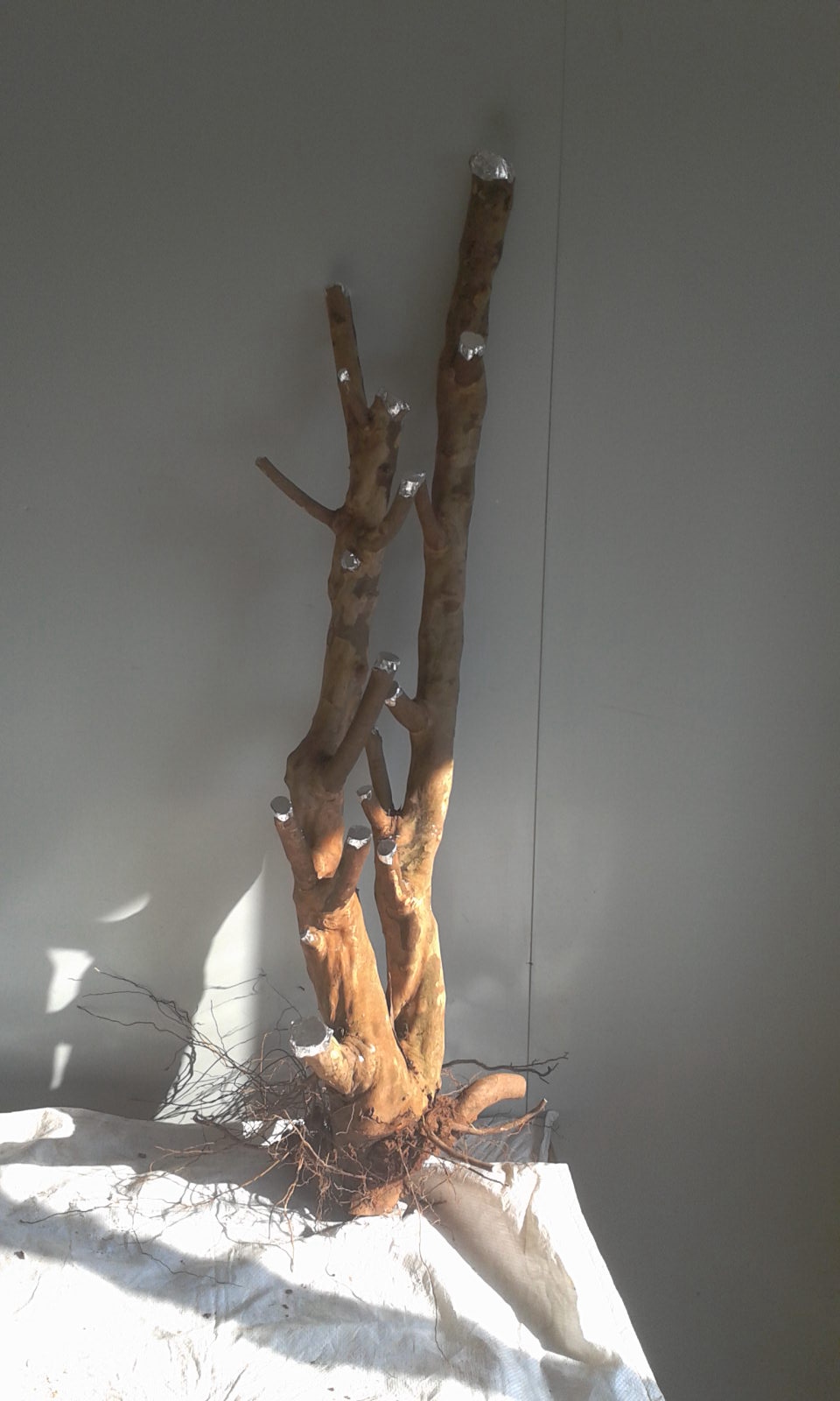 2013-12-29 09.53.10.jpg