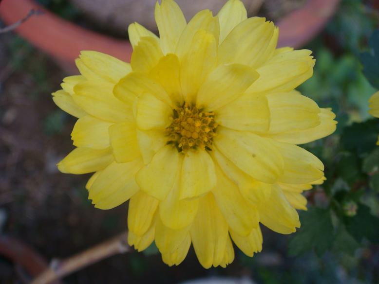 DSC05874.JPG