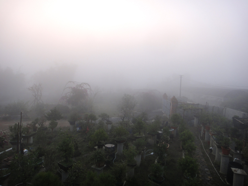 DSC07134.jpg