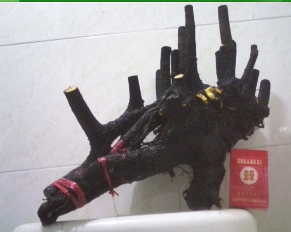 QQͼƬ20131231184905.jpg