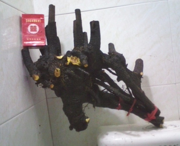 QQͼƬ20131231184859.jpg