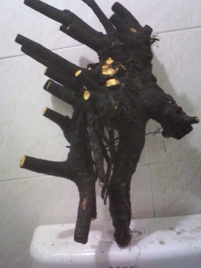 QQͼƬ20131231211352.jpg