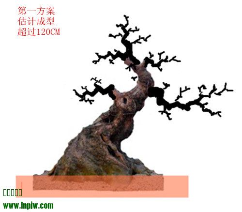 IMG20131231006__1_.jpg