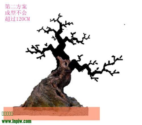 IMG20131231006__2_.jpg