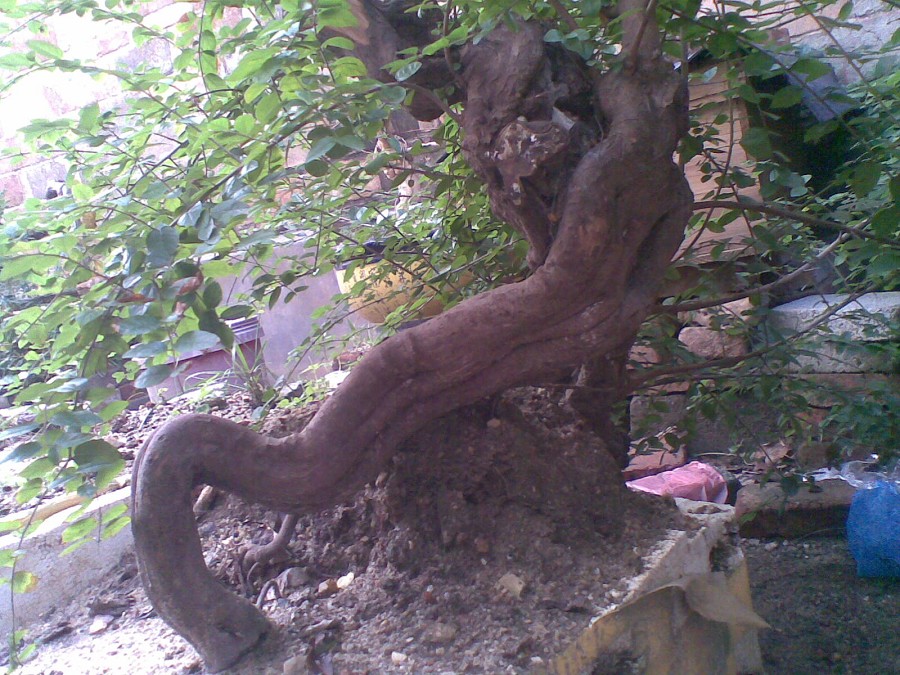 20131114(001)ͼ.jpg