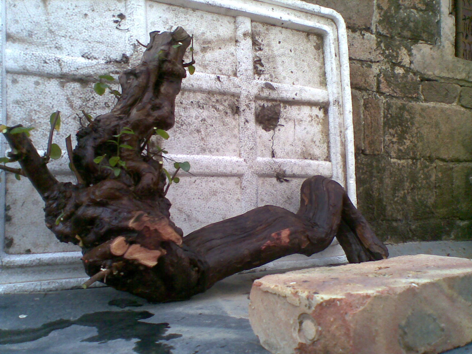 20131231(001).jpg