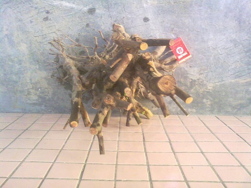 Ƭ4443.jpg