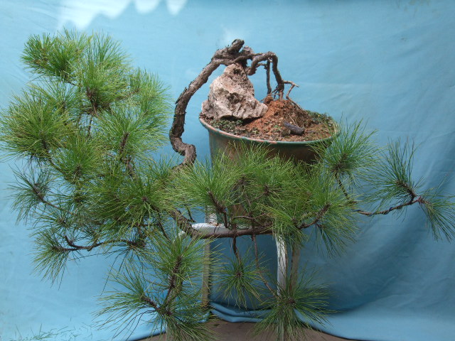 DSCF0073.JPG