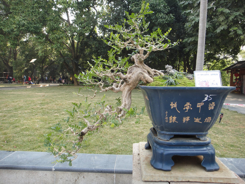 DSC07253.jpg