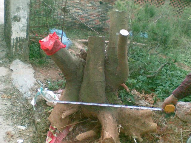 20131229(012).jpg