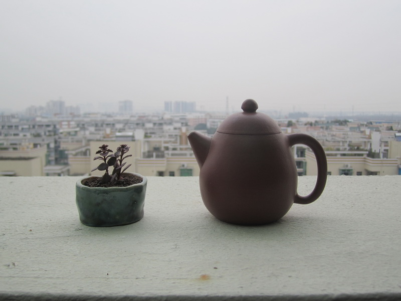 IMG_8212_С.JPG